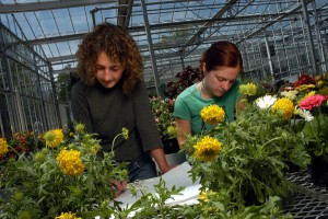Horticulture seniors Lela Walker (left) and Stephanie Eldridge (right) go over their notes while working in the greenhouse behind Fox Labs. 